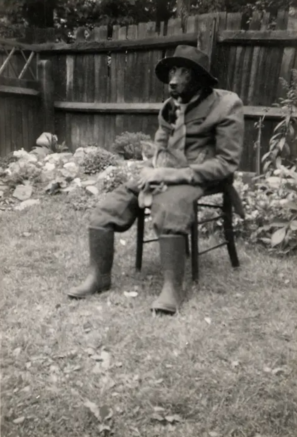 A business dog with a cat on his lap 